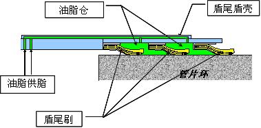 盾尾油脂倉(cāng)構(gòu)造圖